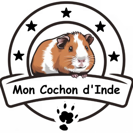 Logo MonCochond'Inde.com